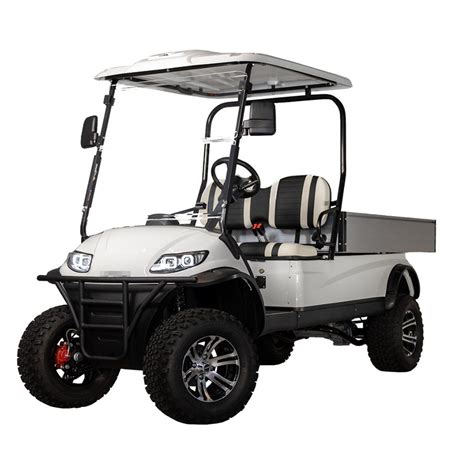 2 Seats Lifted Utility Vehicle Electric Cargo Cart with Luggage Box - China Utility Vehicle and ...