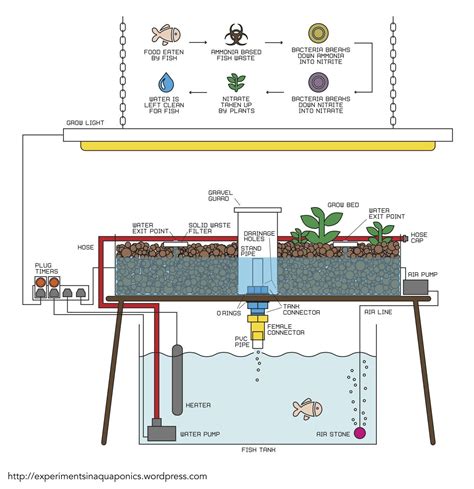 Full Diagram #verticalaquaponic | Aquaponics system, Hydroponic gardening, Aquaponics