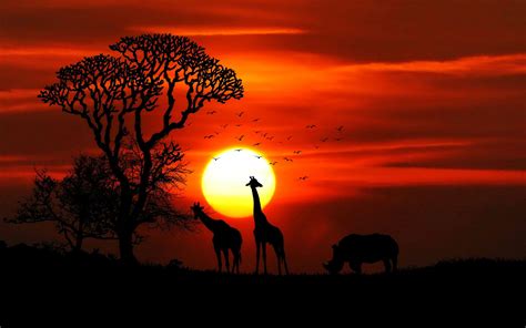 African Sunset Wallpapers - Top Free African Sunset Backgrounds ...