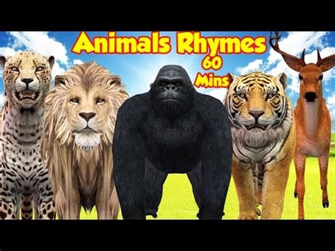 Animals Finger Family Cartoon Nursery Rhymes for Children | Children ...