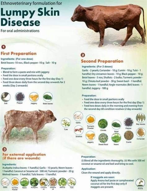 TREATMENT OF CATTLE AFFECTED WITH LUMPY SKIN DISEASE ( LSD) BY HOMEOPATHIC & HERBAL REMEDY ...