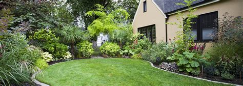 Low Maintenance Landscaping Tips - Mosquito Control