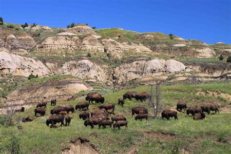 North Dakota State Parks | State parks, Missouri state parks, National parks