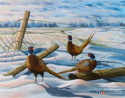 Moment's Rest Pheasant Painting Canvas Giclee Art Print by Nicole Heitzman Pheasant hunting Gift ...