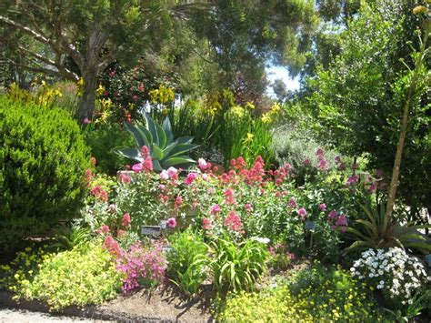 San Diego Botanical Gardens in Encinitas | Plants, Botanical gardens ...