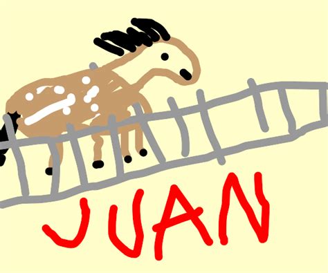 Horse Named Juan Meme - Captions Beautiful