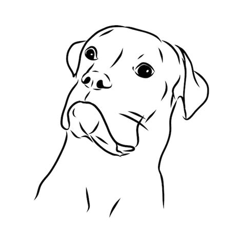 Premium Vector | Sketch of funny smiling dog. vector illustration.