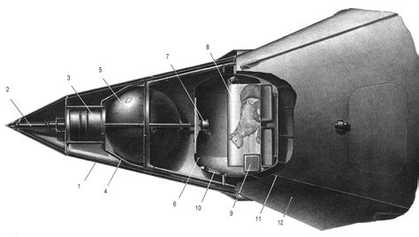 Sputnik 2: The First Animal in Orbit | Drew Ex Machina