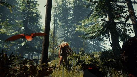 Get Lost in the Woods When The Forest Launches on PS4 in November | Push Square