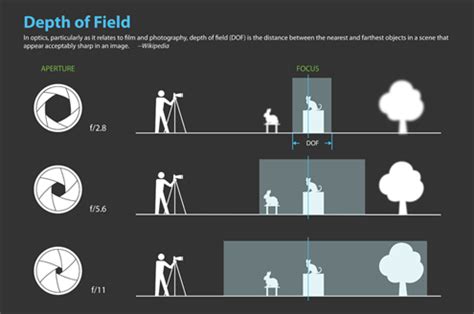 depth of field - MICKY DALY