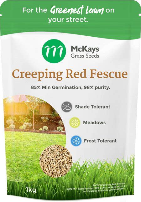 Creeping Red Fescue Seed | McKays Grass Seeds | Reviews on Judge.me