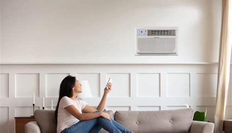 Best Wall Mounted Air Conditioner Heater Combo of 2024