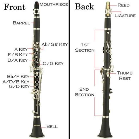 Pin on Music : Clarinet/Flute/Saxophone (Oboe and Bassoon) FREE Resources