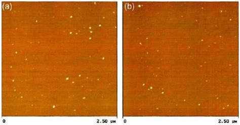 AFM phase images of fluorinated ethylene-propylene (FEP) composite film... | Download Scientific ...