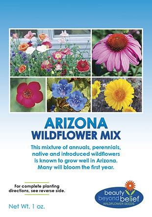 Arizona Wildflower Mix | BBB Seed Wildflower Seeds