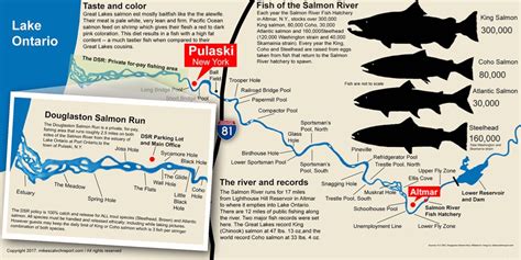 Douglaston Salmon Run Map - San Antonio Map