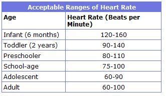 Normal Infant Blood Pressure