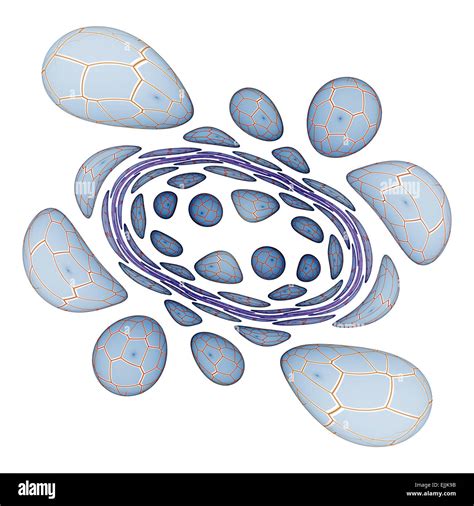 Genetics science research embryo cells Cut Out Stock Images & Pictures - Alamy