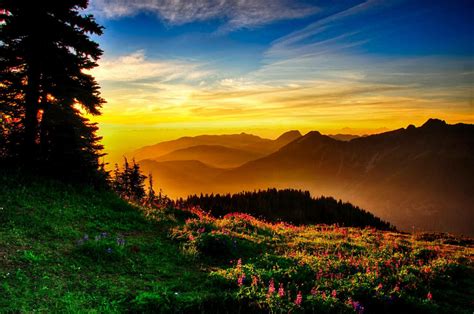 Tranquil Paradise Meadow Sunrise Wallpaper | Background FREE Download - Vulplex.com