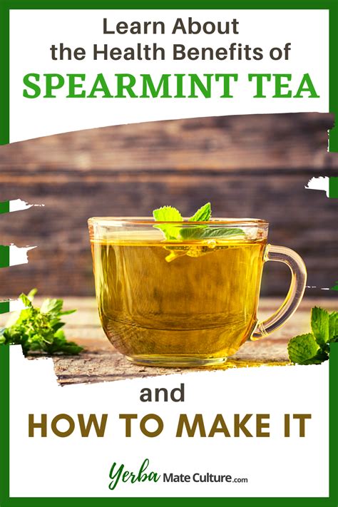 Spearmint Tea Health Benefits and How to Make It in 2021 | Spearmint tea benefits, Herbal tea ...