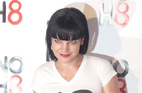 Actress Pauley Perrette Assaulted in Hollywood - The San Fernando ...