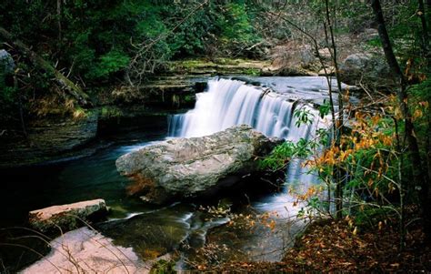 3. Broadtree Falls - Altamont Tennessee Hiking, Tennessee Waterfalls ...