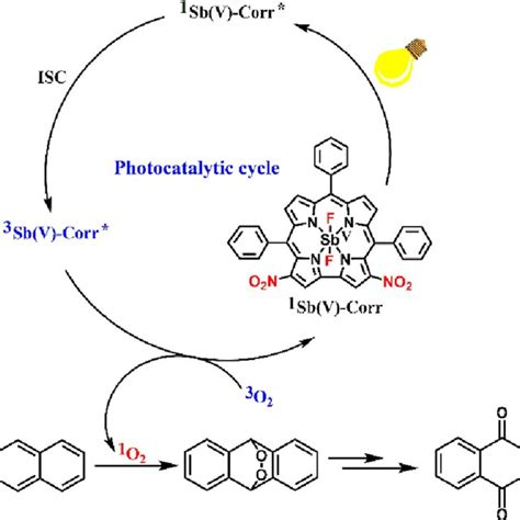 Schematic illustration of the singlet oxygen generation from the ...