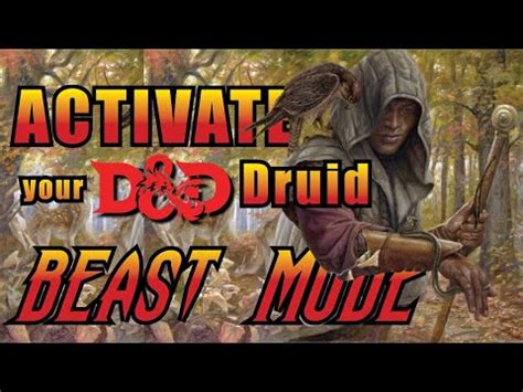 5 Best D&D Feats for a Circle of the Moon Druid - YouTube