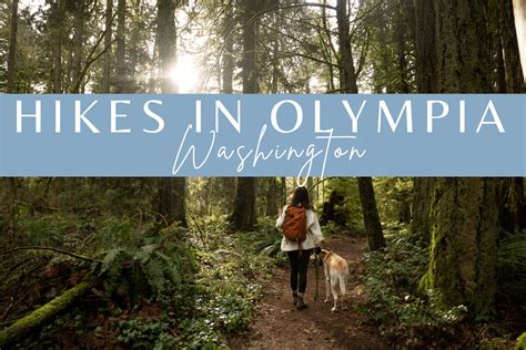 9 Best Refreshing Hikes in Olympia WA for Nature Lovers - thekarebear - Washington State Travel ...