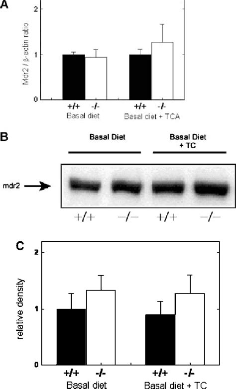 Figure 2 from The phosphatidylethanolamine N-methyltransferase pathway ...