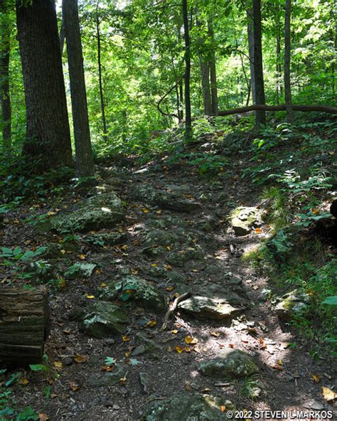 Catoctin Mountain Park | YELLOW TRAIL LOOP HIKE