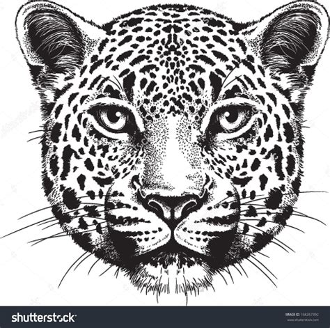 giraffe face black and white - Google Search | Leopard drawing, Leopard face, Jaguar tattoo