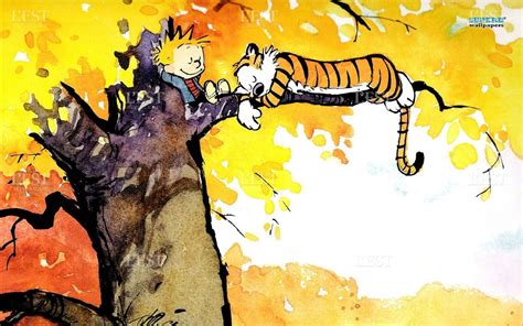 10 Best Calvin And Hobbes Hd Wallpaper FULL HD 1080p For PC Background 2024