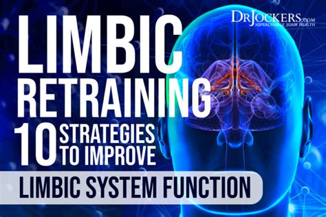 Limbic Retraining: 10 Strategies to Improve Limbic System Function