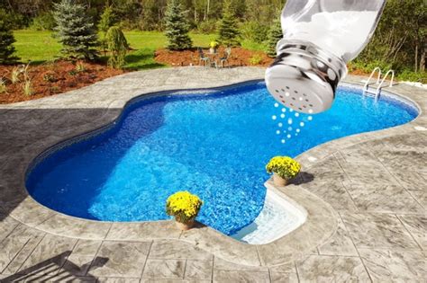 How to Build a Salt Water Pool That Will Appeal to Home Buyers ...