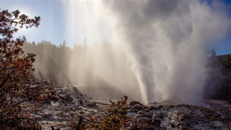 Reawakened Yellowstone geyser isn’t a sign of imminent explosion ...