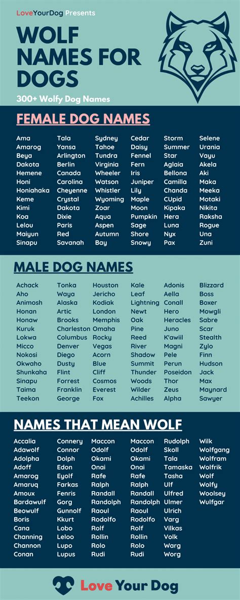 300 wolf names for dogs male female names for your puppy – Artofit