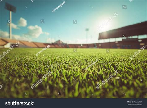 Green Grass Soccer Stadium Stock Photo 455233507 | Shutterstock