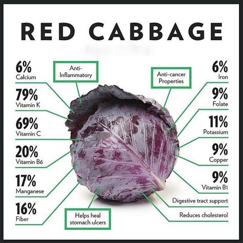 Its time to add red cabbage in your daily diet. Follow u