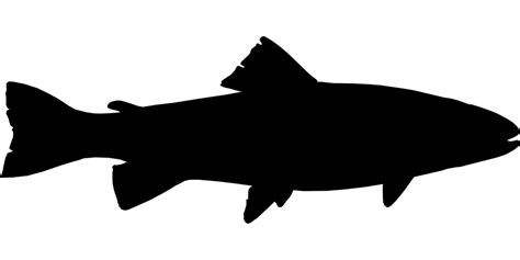 Free Image on Pixabay - Fish, Black, Fishing, Silhouette | Silhouette de poisson, Dessin poisson ...