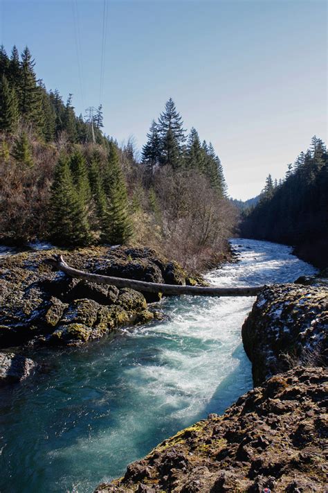 Clackamas River Trail | Outdoor Project