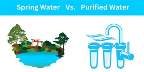 Spring Water vs Purified Water - Should You Be Drinking Spring Over Bottled Water?