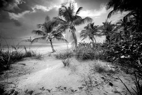 ESTERO ISLAND © 1984 - Clyde Butcher | Black & White Fine Art Photography Us Beaches, Florida ...