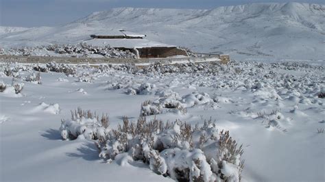 Fossil Butte National Monument | Find Your Park