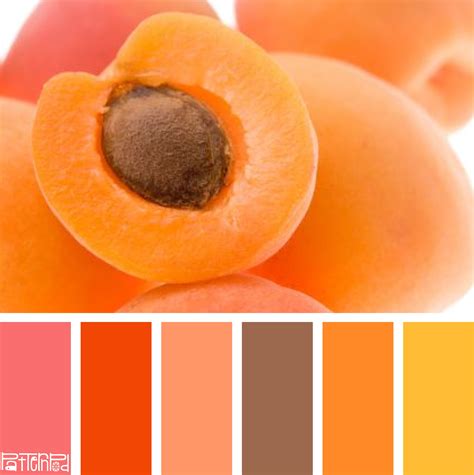 Sweet Apricot #color #colorpalettes | Color | Pinterest | Color combos, Color inspiration and ...