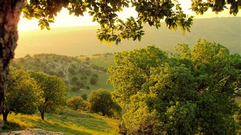 Ajloun Forest Reserve - Select.jo