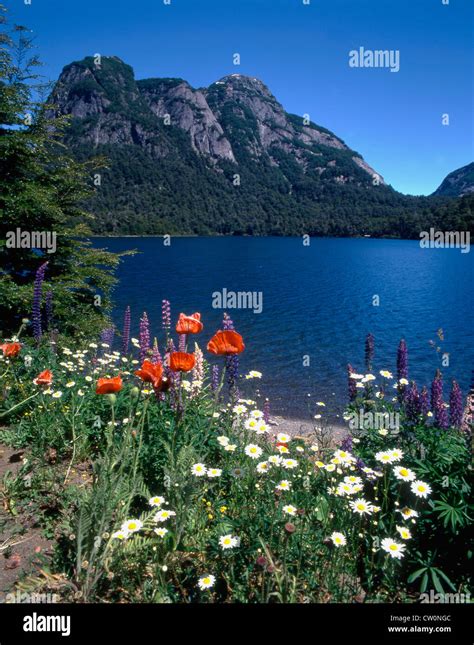 Argentina, Rio Negro Province, Lake Nahuel Huapi, Puerto Blest Stock Photo - Alamy