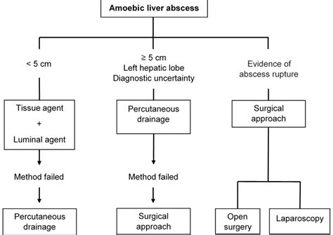 Liver Abscess Surgery