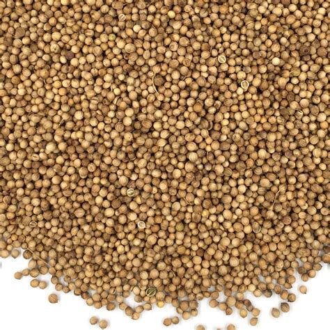 Coriander Seeds, Whole - 1 Lb