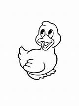 Duck coloring Page sketch template